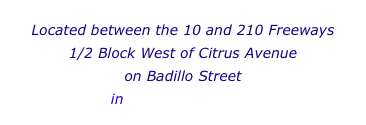 Located between the 10 and 210 Freeways
1/2 Block West of Citrus Avenue
on Badillo Street
in Downtown Covina